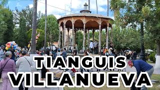 TIANGUIS VILLANUEVA [upl. by Elokin]