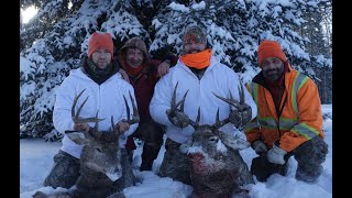 Saskatchewan Whitetail Hunt 2017 [upl. by Sari]