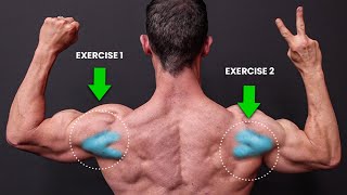 The ONLY 2 Exercises You Need for Rear Delts NO SERIOUSLY [upl. by Asenab291]