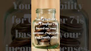 Chapter 7 Eligibility Explained How Income Expenses and Family Size Matter [upl. by Anurag]