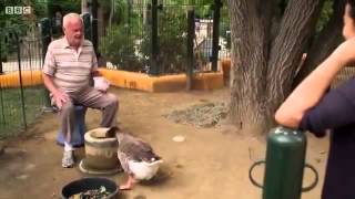 animal odd couples Full documentary 2013 [upl. by Araeit]