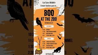 Boo at the Zoo 2024 Enrichment [upl. by Halilad]