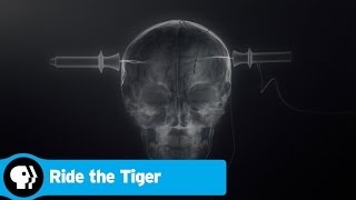 RIDE THE TIGER  The Benefits of Electroconvulsive Therapy  PBS [upl. by Ecyla582]