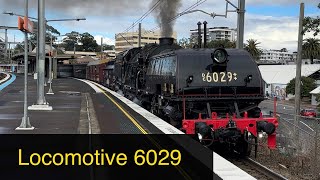 Steam Locomotive 6029  Transfer Run 6S51 to Gosford  July 2024 [upl. by Idnac]