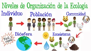 🌎Niveles de Organización de la Ecología🌿 Fácil y Rápido  BIOLOGÍA [upl. by Samuele]