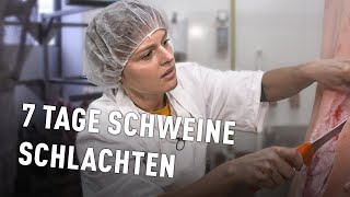 Als Vegetarierin im Schlachthaus  Doku [upl. by Idnyl]