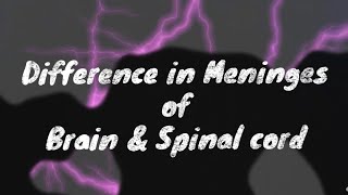 Quick 3 min comparison  Meninges of Brain  vs Meninges of Spinal cord [upl. by Ubald134]