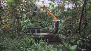 Verhuizing zeekoe naar Parijs  Burgers Zoo Natuurlijk  Arnhem [upl. by Mya]