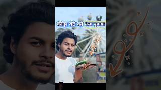 कीड़ा🐛बेटे को मेला🤩घुमाया comedy insect [upl. by Bronder]