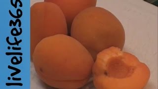 Why Eat Apricots [upl. by Regni]