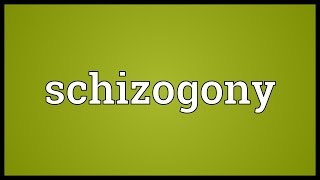 Schizogony Meaning [upl. by Oleusnoc]