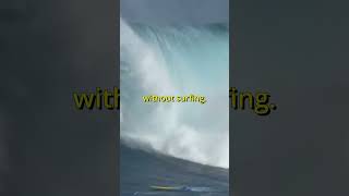 Top 3 Worst Surfing Fails surfing [upl. by Nnarefinnej]