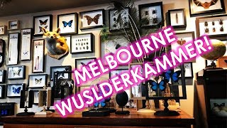 WUNDERKAMMER MELBOURNE [upl. by Norword228]