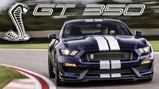 2019 Shelby GT350  EVERYTHING You Need to Know [upl. by Bywaters]