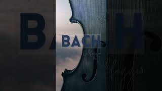 Only Bach bach cellomusic relaxingmusic [upl. by Ender]