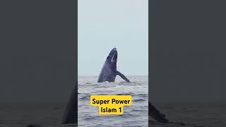 Surah Rahman Ki Tilawat  Rahman  Rahman  tilwatquran  Super Power Islam 1 [upl. by Nowahs]