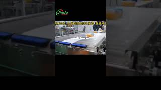 Revolutionize Fruit Processing with WEIGHT SORTING Machines [upl. by Ynohtona]