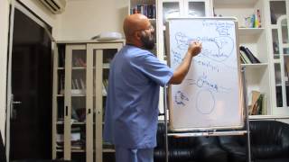 biochemistry mini lecture series  hexose monophosphate shunt  مع الدكتور عبدالناصر الهلالي [upl. by Acinonrev]