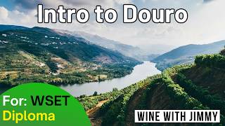 Introduction and History of the Douro Valley for WSET Level 4 Diploma [upl. by Obed]