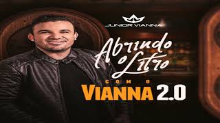 Junior Vianna  Abrindo O Litro 20 CD Completo 2020 [upl. by Kiernan]