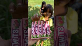 Yummy Bites CHEWITS Strawberry🍓 Flavour Gummy Candy eating by villagee viralvideo shorts fypシ゚ [upl. by Haraz578]