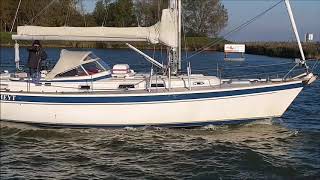 Hallberg Rassy 39 for sale at Connect Yachtbrokers [upl. by Tris]