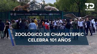 Zoológico de Chapultepec celebra 101 años convertido en un centro de conservación de especies [upl. by Inva665]