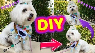 DIY Pet Bandana NO SEW DogCat Scarf Coton de tulear I Lorentix [upl. by Olram]