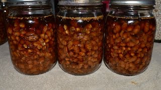 Canning Boston Style Beans [upl. by Sido]