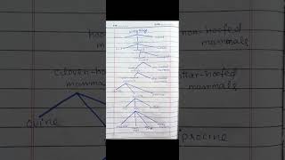 Hyponymic  taxonomic Classification of animals mammals  cow  living things short [upl. by Ykcir314]