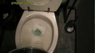 How To Flush Your Toilet With A Bucket of Water  Plumbing Problems [upl. by Giorgia]