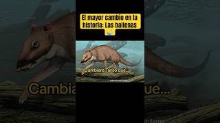 El mayor cambio en la historia de la vida Las ballenas eran terrestres animales evolucion shorts [upl. by Anesor593]