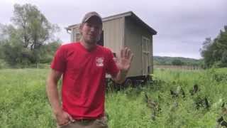 Laying Hen Breeds for Pastured Poultry [upl. by Ynnavoig]