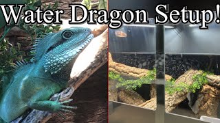 How to Setup a Chinese Water Dragon Enclosure [upl. by Yusem]