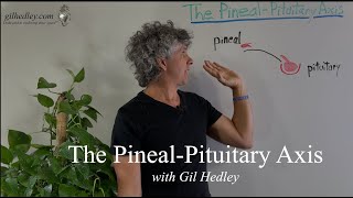 The PinealPituitary Axis Learn Integral Anatomy with Gil Hedley [upl. by Ahsenod]