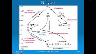 SIR2017 Lecture on Geochemical Cycling N S C etc [upl. by Araem]