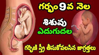 9th Month of Pregnancy Baby Growth amp Mother Care  Pregnancy 9th Month Symptoms  3rd Trimester [upl. by Cathryn]