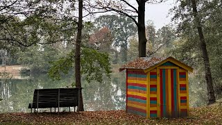 Strandbad Frankenthal Weiher und schwimmbacken สาพามาเดินเล่นในฤดูใบไม้ร่วง [upl. by Doloritas]