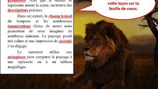 Cours sur le roman Le Lion de Joseph Kessel [upl. by Nivahb561]