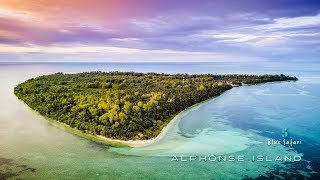 Introducing Alphonse Island [upl. by Laubin]