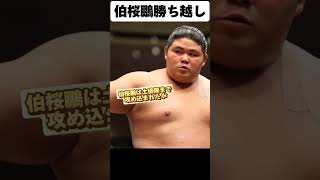 大相撲春場所13日目 十両13枚目 伯桜鵬勝ち越し [upl. by Terrene542]