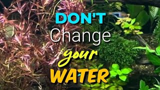 Dont Change Your Water  BUT WHY aquariummaintenance plantedaquarium naturalaquarium [upl. by Stace]