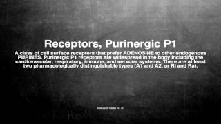 Medical vocabulary What does Receptors Purinergic P1 mean [upl. by Aicitan]