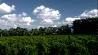 Aerosol Crimes aka Chemtrails 2005 Documentary [upl. by Attenyw]