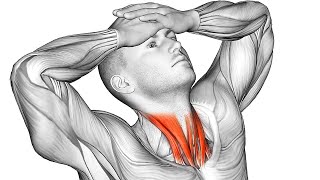 The 15 Most Effective Exercises for Neck Pain Relief [upl. by Lyrred]