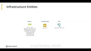 1 DInfrastructure Entities  Maltego Advanced Course [upl. by Earazed370]