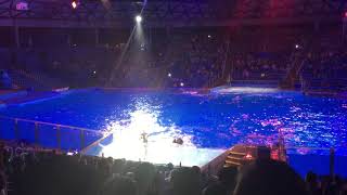 Shamu Rocks  SeaWorld San Antonio 2014 [upl. by Norma]