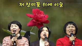 수앤찬 저 장미꽃 위에 이슬 🎶 김종은 집사 amp 하필숙 권사 [upl. by Gaddi]