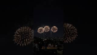 명당에서 서울불꽃축제 2024 Seoul Fireworks Festival 2024 홀릭이랑혜윰이랑 불꽃축제 korea fireworks [upl. by Rahel]