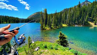 Trout Fishing HIDDEN Lakes In The Mountains Of Montana [upl. by Aimej43]